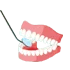 Full Mouth Rehabilitation